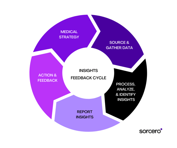 Insights Feedback Cycle